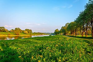 Weser in Bad Oeynhausen - hier sind wir auch tätig